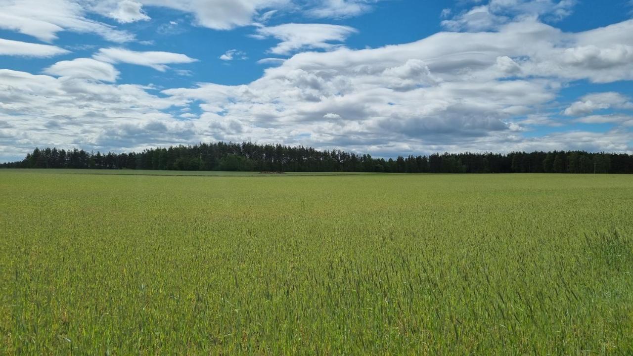 Ptasie Radio, Domek 48.2 Ostoja Bukowo Borowy Mlyn Eksteriør billede